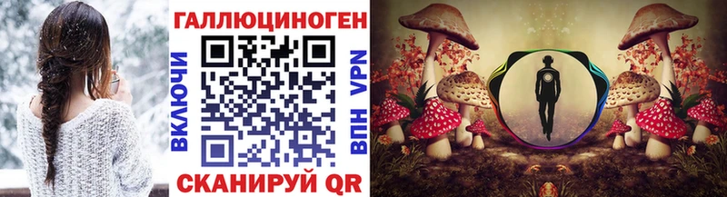 продажа наркотиков  Курчалой  Галлюциногенные грибы мицелий 