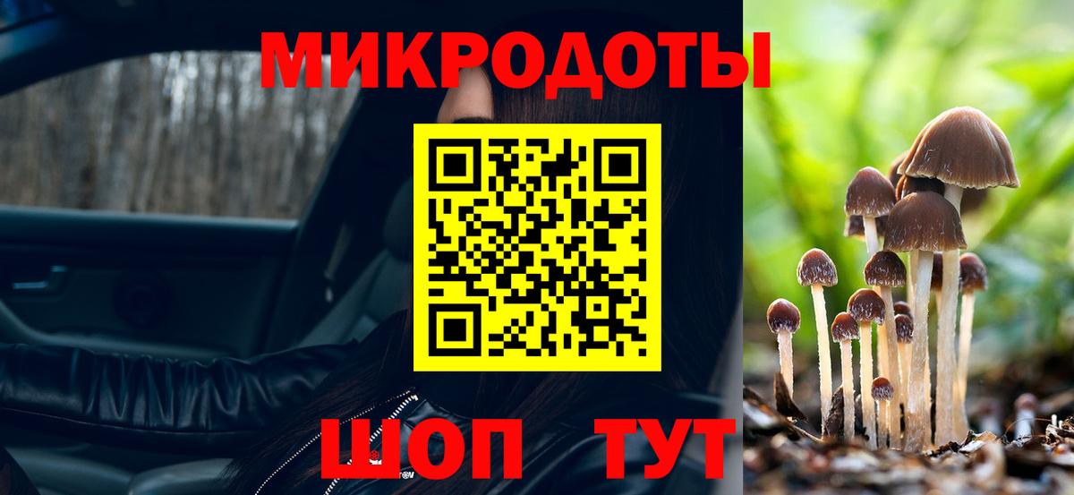 Галлюциногенные грибы Magic Shrooms  Вход с VPN  цена наркотик  Курчалой 